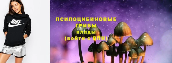 герыч Алексин