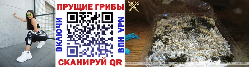 Галлюциногенные грибы Cubensis  цены наркотик  kraken ССЫЛКА  Асбест 