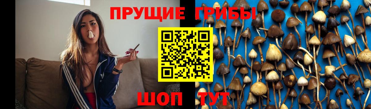 Галлюциногенные грибы мухоморы Асбест